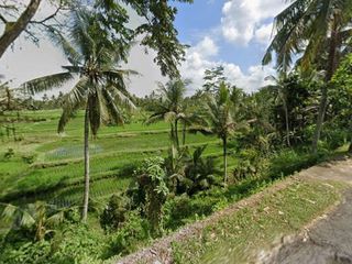 Dijual atau disewakan Tanah Sawah Lokasi Tenang dan Sepi di Pejeng Kangin, Tampaksiring, Gianyar.