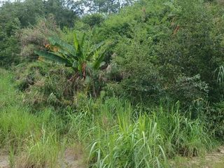 🏡 Looking for an affordable lot in a peaceful and growing community?