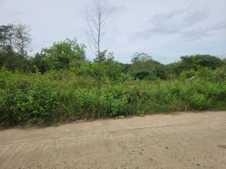 🌿 6-Hectare Clean Title Property for Sale – Trinidad, Bohol Prime Investment Opportunity in Northern Bohol