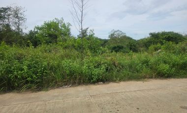🌿 4-Hectare Clean Title Property for Sale – Trinidad, Bohol Prime Investment Opportunity in Northern Bohol