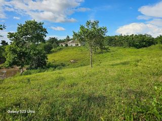 🌿 8.8-Hectare Affordable Titled Property for Sale – Trinidad, Bohol Prime Agricultural and Investment Property in Northern Bohol