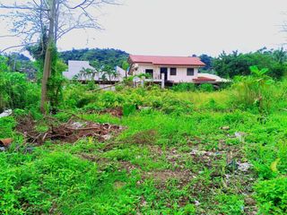 Commercial Lot For Sale In San Jose Talamban, Cebu City