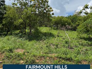 VACANT LOT WITH VIEW FOR SALE FAIRMOUNT HILLS
