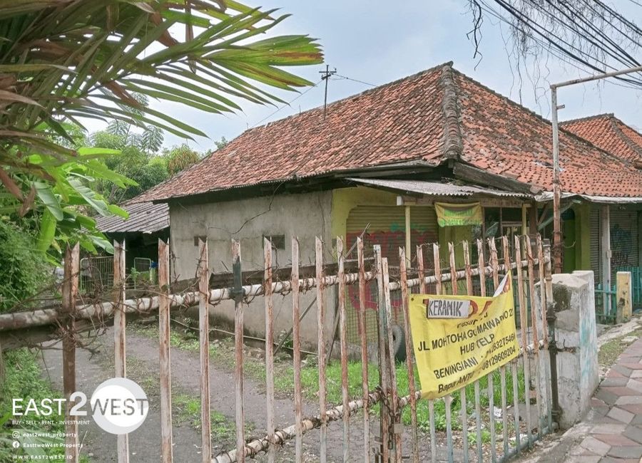 place photo 7