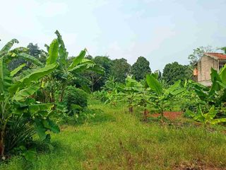 Tanah Dijual Gunung Sindur Bogor