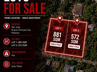 Residential Lot in San Jose Puerto Princesa City Palawan