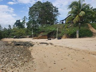 🏖️ 9,000 SQM Clean Title Beachfront Property for Sale – Buenavista, Bohol 🌊
