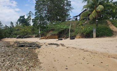 🏖️ 9,000 SQM Clean Title Beachfront Property for Sale – Buenavista, Bohol 🌊