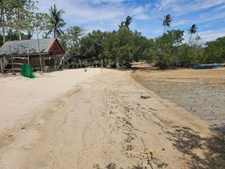 🌴 BEACHFRONT PROPERTY FOR SALE – BUENAVISTA, BOHOL 🌊