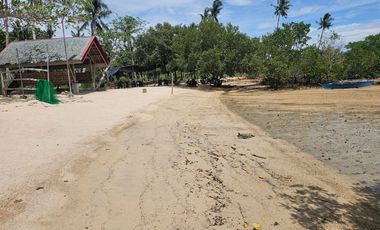 🌴 BEACHFRONT PROPERTY FOR SALE – BUENAVISTA, BOHOL 🌊