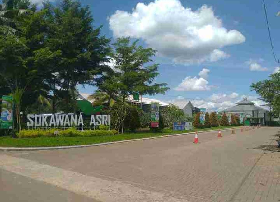 place photo 7