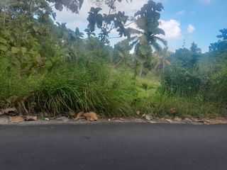 Lahan Komersial Premium Hadap Barat di Nusa Penida – Dekat Mambo Hill Hotel, Sempurna untuk Resort/Villa
