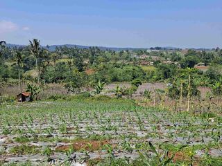 Di jual tanah darat dekat mmc len .hanya  3 km dari ekit tol lido ,Akes jln Beaar dan bagus