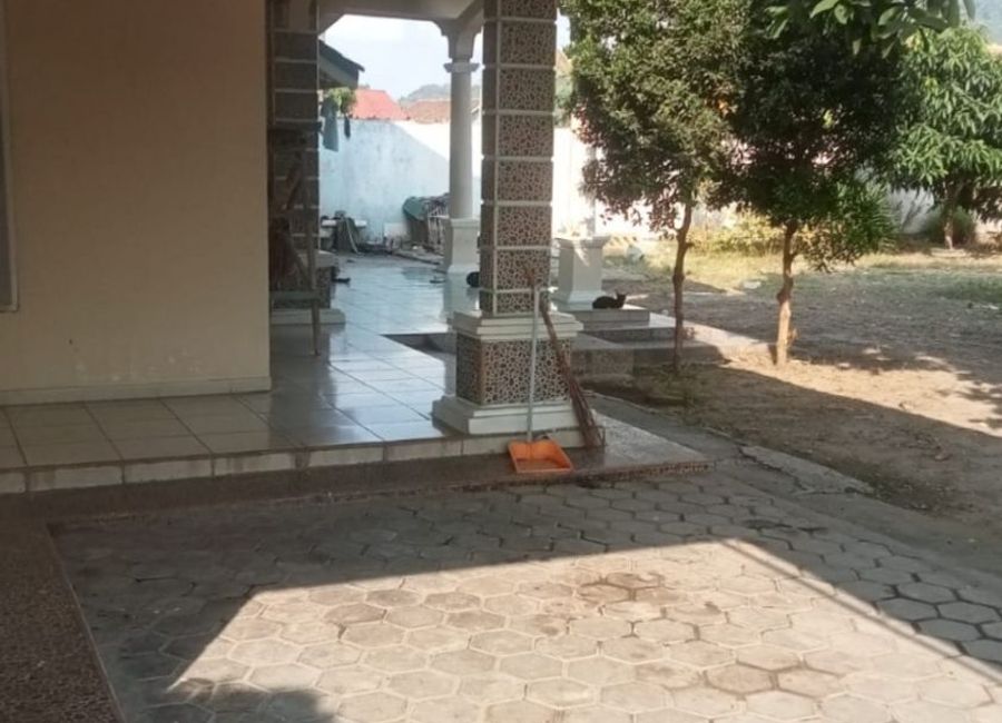 place photo 7