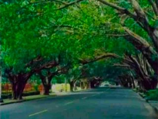 For Sale : Dasmarinas Village Lot, Makati (New)