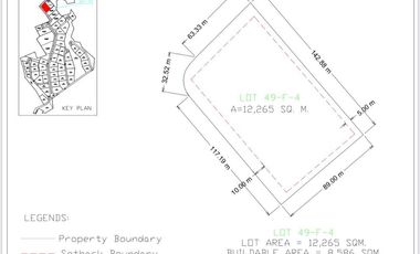 12,265 sqm PEZA Industrial Lot | ₱105M Gross | Ayala Cavite Technopark, Naic, Cavite | Below Zonal Value