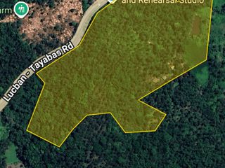 35,100 Sqm Commercial/Farm Land For Sale in Brgy Tiawe Lucban Quezon