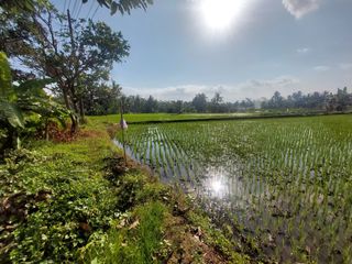DIJUAL TANAH STRATEGIS 5200m² PINGGIR JALAN PROVINSI