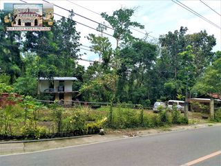 For Sale Roadside Lot in Busay Cebu City