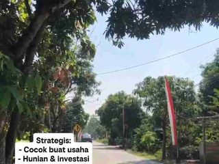 tanah pinggir jl DPU wonokerso Kedawung Sragen