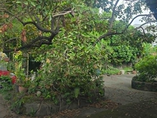 Prime Commercial Lot along Sumulong Highway in Antipolo City (near Masinag) For Sale
