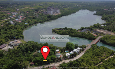 BeachFront (Lagoon) Lot for Sale along the Provincial Road  in Totolan, Dauis, Bohol