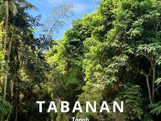 Lahan Kebun Los Sungai Bengkelsari Selamadeg Barat Tabanan Bali