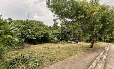 Lots for sale in Brgy Puting Kahoy, Silang Cavite - Near Nuvali - Below market value