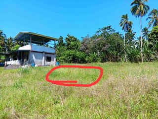 RUSH FOR ASSUME/SALE  RESIDENTIAL LOT ONLY IN PLANTATION DALIAON TORIL DAVAO