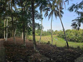Butuh uang cepat dijual tanah datar view sawah di tabanan bali