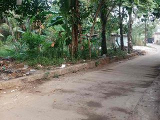 TANAH MURAH DAN STRATEGIS DI GUNUNG SINDUR KABUPATEN BOGOR