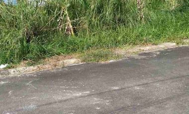 Don Enrique Heights 400sqm Very nice location 24 hours security