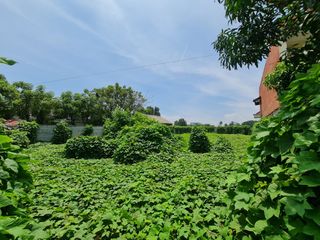 Tanah Kavling di Bojong Renget, Teluk Naga Tangerang luas 705m2