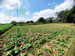 dijual Sawah murah dekat balai desa ngleses juwangi Boyolali