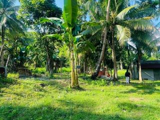 Titled Farmlot 5,000 to 5 Hectares in Guibancoan Sibonga