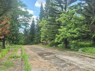 Commercial Vacant Lot for Sale in Crisanto M. Delos Reyes Ave., Brgy. Loma, Amadeo, Tagaytay