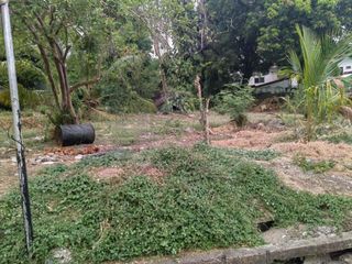 Rush 1,500sqm corner lot DON ANTONIO HEIGHTS 48k per sqm