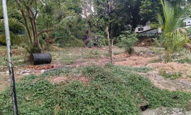 Rush 1,500sqm corner lot DON ANTONIO HEIGHTS 48k per sqm