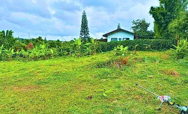 LOT FOR SALE IN CAVITE