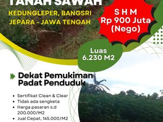 Dijual Tanah Sawah dekat Pemukiman Padat Penduduk Kedungleper-Bangsri