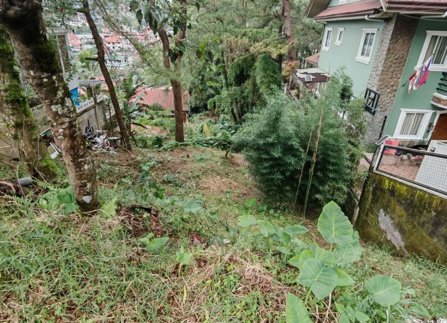 place photo 6