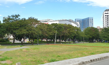 1,254sqm Vacant Lot for Sale in Filinvest City, Alabang Muntinlupa City near Festival Mall Alabang and ATC