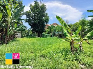 Huge Residential Lot At Talamban Cebu For Sale