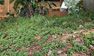 180sqm Mountain View Filinvest 2 Bagong Silangan QC