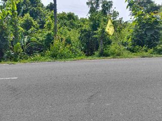 TANAH 47.8 ARE JALAN RAYA JEMBRANA PENGAMBENGAN ( PUSAT INDUSTRI & PELABUHAN )