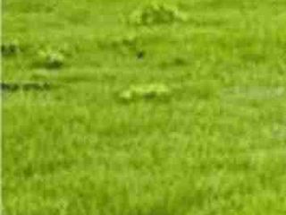 DIJUAL LAHAN SEBERANG PERTAMINA JALAN RAYA DRIYOREJO