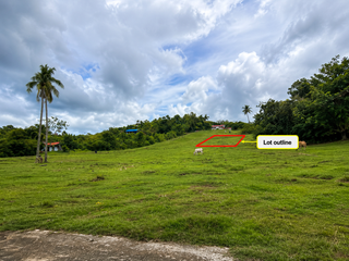 🏡 Prime 1,000 sqm Residential Lot for Sale in San Remigio, Cebu