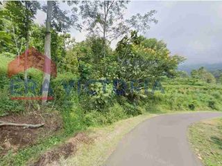 Tanah disewakan untuk perkebunan, peternakan di wagir malang