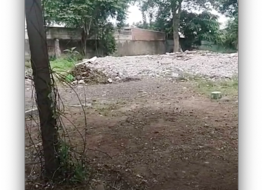 place photo 3
