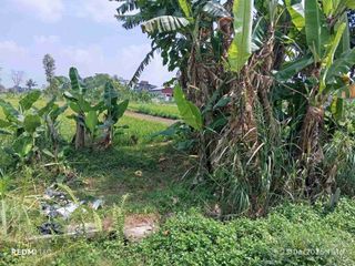 Disewakan Tanah 280m Wedomartani